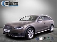 Audi A4 Allroad, 2.0 TDI quattro, Jahr 2015 - Brandis