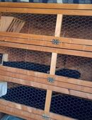 Stabiler Eigenbaustall mit 3 Etagen - ideal für Meerschweinchen in 91604