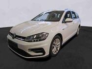 VW Golf Variant, 2.0 TDI Golf 7 R-line, Jahr 2019 - Blomberg (Nordrhein-Westfalen)