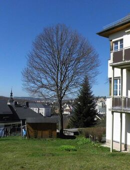 Sonnige 2-Zimmer-Wohnung im EG (Hochparterre) mit Balkon und Carport zu vermieten! - Reichenbach (Vogtland)