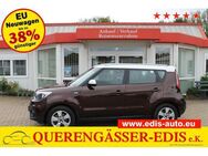 Kia Soul 1.6 GDi 97 kW (132 PS), Frontantrieb - Wünschendorf (Elster)