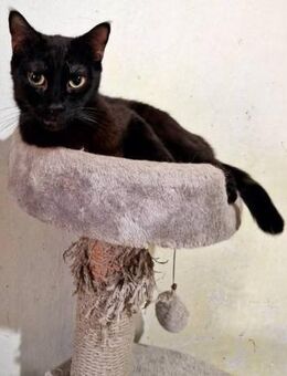 HARRY - unkompliziert, freundlich. - Köln