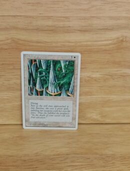 Magic The Gathering-Deckmaster. -Wall of Swords. - Nörvenich