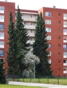 Die gefällt mir: 3-Zimmer-Wohnung - Lüneburg