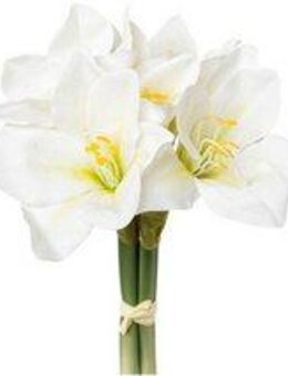 Winterliche Kunstpflanze Weihnachtsdeko Amaryllis, Creativ green, Höhe 32 cm, 3 Stück Bund aus je 3 Stielen