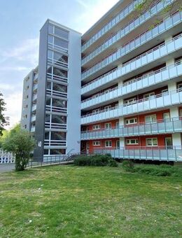 Demnächst frei! 2-Zimmer-Wohnung in Leverkusen Alkenrath - Leverkusen