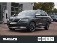 Skoda Karoq, 2.0 TDI Scout Händlerfahrzeug, Jahr 2019 - Merseburg