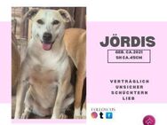 Jördis - unser Rohdiamant - Rambin
