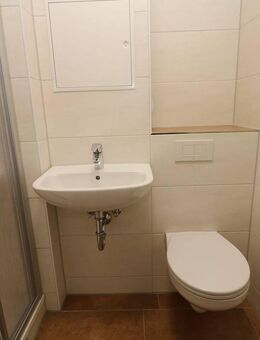 Ab jetzt müssen die Eltern allein klar kommen - moderne 1RW mit Dusche - Freiberg