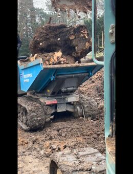 Dumper auf Raupen zu verkaufen - Bonn Mehlem