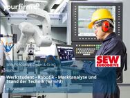 Werkstudent - Robotik - Marktanalyse und Stand der Technik (w/m/d) - Bruchsal