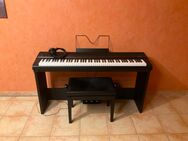 Stagepiano Thomann DP28 Plus Bundle - Rheinbrohl