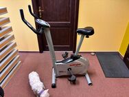 Wega Hometrainer - Machern