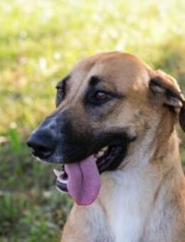 NISHA - pure Bewegungsfreude - Overath