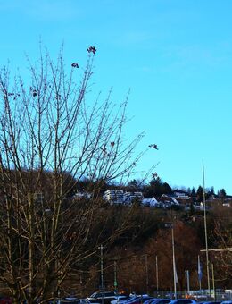 Kapitalanleger aufgepasst ! 2 Zi Whg in sehr zentraler Lage und Top Rendite - Lörrach