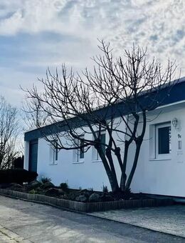 Frankenthal Carl-Bosch-Siedlung Bungalow 4 ZKB - Frankenthal (Pfalz)