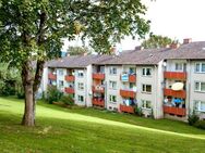 3-Zimmer-Wohnung in Neunkirchen Salchendorf - Neunkirchen (Nordrhein-Westfalen)