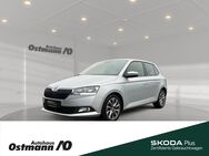 Skoda Fabia, Clever 70kw, Jahr 2021 - Niestetal