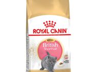 Sparpaket Royal Canin Breed 2 x Großgebinde - British Shorthair Kitten (2 x 10 kg)