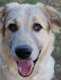 Butter - der Name ist Programm - Mettmann