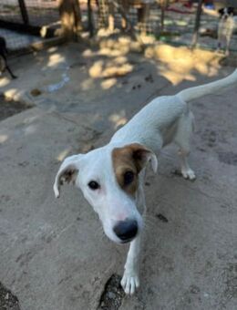 Luna, 9 Monate agil und aufgeschlossen - Köln