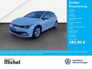 VW Golf, 2.0 TDI VIII Life IQ-Light Panodach, Jahr 2020 - Gießen