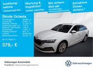 Skoda Octavia, 2.0 TSI Combi Style, Jahr 2024 - Frankfurt (Main)