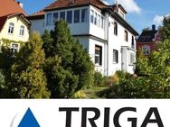 Außergewöhnliche großes Grundstück in der bevorzugten Oberstadt mit Wohnhaus gesucht? - Nordhausen