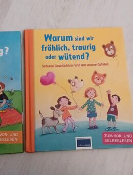 Kinderbuch Warum sind wir fröhlich, traurig und wütend - Brechen