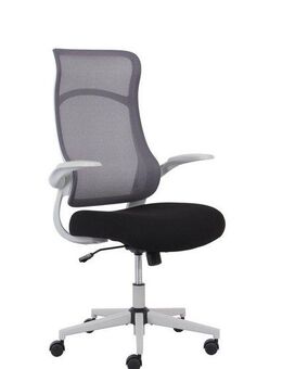 INOSIGN Bürostuhl Toico, Design-Schreibtischstuhl, ergonomische Rückenlehne, Lendenwirbelstütze & klappbaren Armlehnen