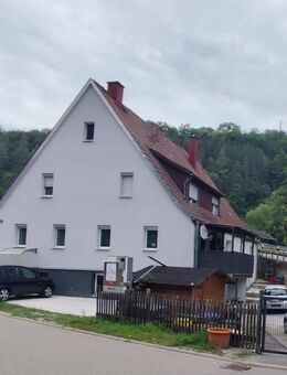 Schönes großes 3-Familienhaus in Ilshofen-Oberscheffach - EBK - Terrasse - Garten - Ilshofen