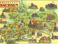 Zukünftiger Lieblingsmensch gesucht! - Görlitz Zentrum
