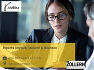 Experte (m/w/d) Steuern & Bilanzen - Sigmaringendorf