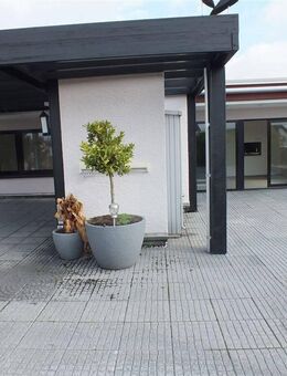 Penthouse mitten in Nauheim mit ca. 135m² Wohnfläche und 185m² Terrasse inkl. Garage - Nauheim