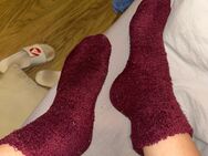 getragene Kuschelsocken - Berlin Marzahn-Hellersdorf