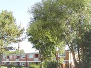 3- Zimmer-Wohnung, ca. 77 m² mit Balkon *Top saniert* - Kappeln (Schleswig-Holstein)