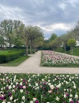 Köln-Zollstock - Helle, ruhige und dennoch zentral gelegene Wohnung am Park! - Köln