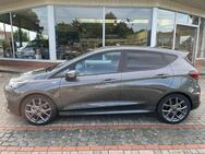 Ford Fiesta 1.0 EcoBoost M-Hybrid BLACK FRIDAY Navi LED Dyn. Kurvenlicht ACC Apple CarPlay - Holdorf (Niedersachsen)