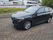 BMW X1 xDrive25i - Bad Marienberg (Westerwald)