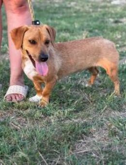 Serafina sucht ihre Für-Immer-Familie - Nordwalde