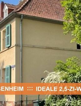 AUSBAU-FÄHIGE DG-WHG (20 m² Potential) ::: BEST-LAGE in MZ-GONSENHEIM - Mainz