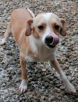 Adele 4 Jahre...... - Meuselwitz