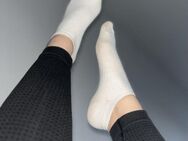 Getragene Socken - Wachtberg