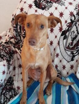 Kina - Zarte Seele sucht Sicherheit - Karben