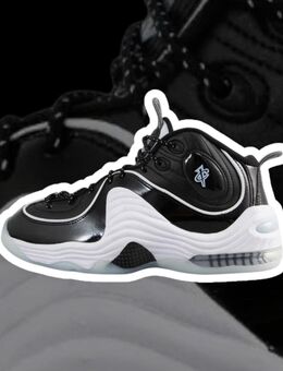 Nike Air Penny II Größe 44 - Wiehl