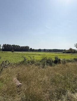 Top Kapitalanlage: 2 Mehrfamilienhäuser mit Nebengebäude - Nidderau