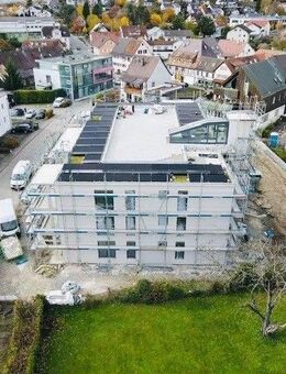 Seesicht für Alle auf der gemeinsamen Dachterrasse - Rathausstraße 1 - Bodman-Ludwigshafen - Bodman-Ludwigshafen