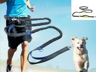 Hundeleine Laufleine elastisches freihändig Joggen TRENDMOPS RUNNINGDOG - Oldenburg