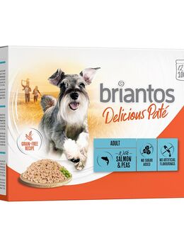 Sparpaket Briantos Delicious Paté 48 x 100 g - Lachs