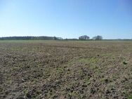 1,26 ha Ackerlandverkauf in 49597 Rieste, OT Bieste - Rieste